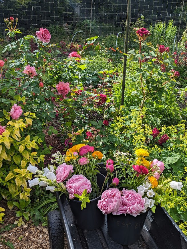 Bulk Florals