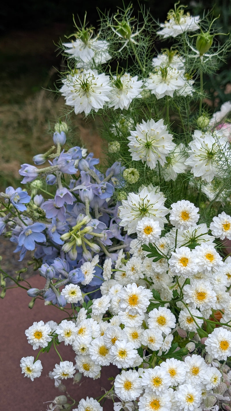 Event-Ready DIY Bulk Florals  *Custom*  - 1 Floral Bucket