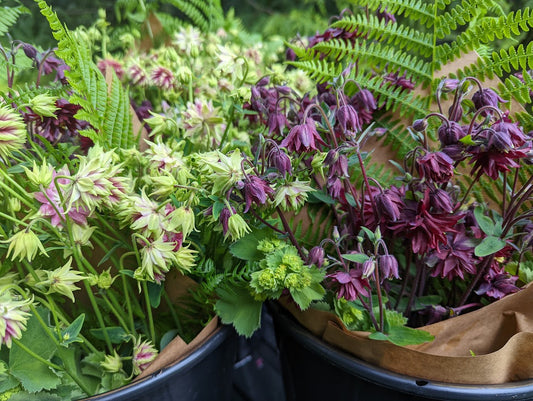Custom Event-Ready DIY Bulk Florals - 1 Floral Bucket
