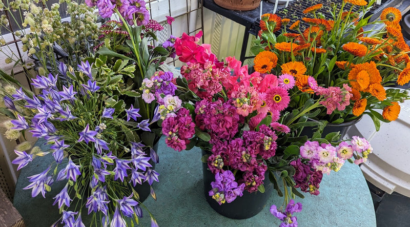 Event-Ready DIY Bulk Florals  *Custom*  - 1 Floral Bucket
