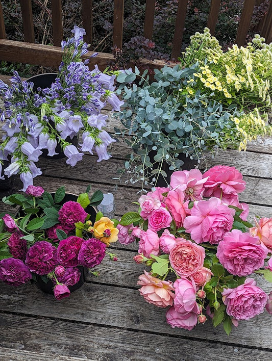 Event-Ready DIY Bulk Florals - 1 Floral Bucket