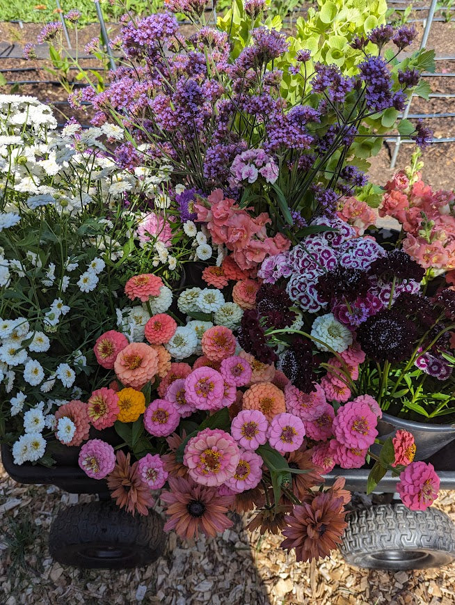 Event-Ready DIY Bulk Florals  *Custom*  - 1 Floral Bucket