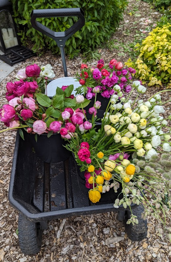Event-Ready DIY Bulk Florals  *Custom*  - 1 Floral Bucket