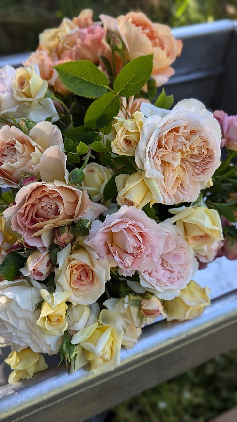 Event-Ready DIY Bulk Florals  *Custom*  - 1 Floral Bucket
