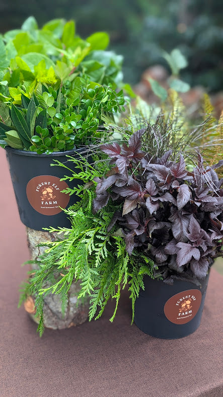 Bulk Greens and Botanicals
